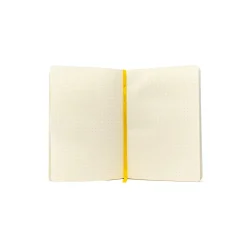 Critical Role Exandria Unlimited Journal- Journals